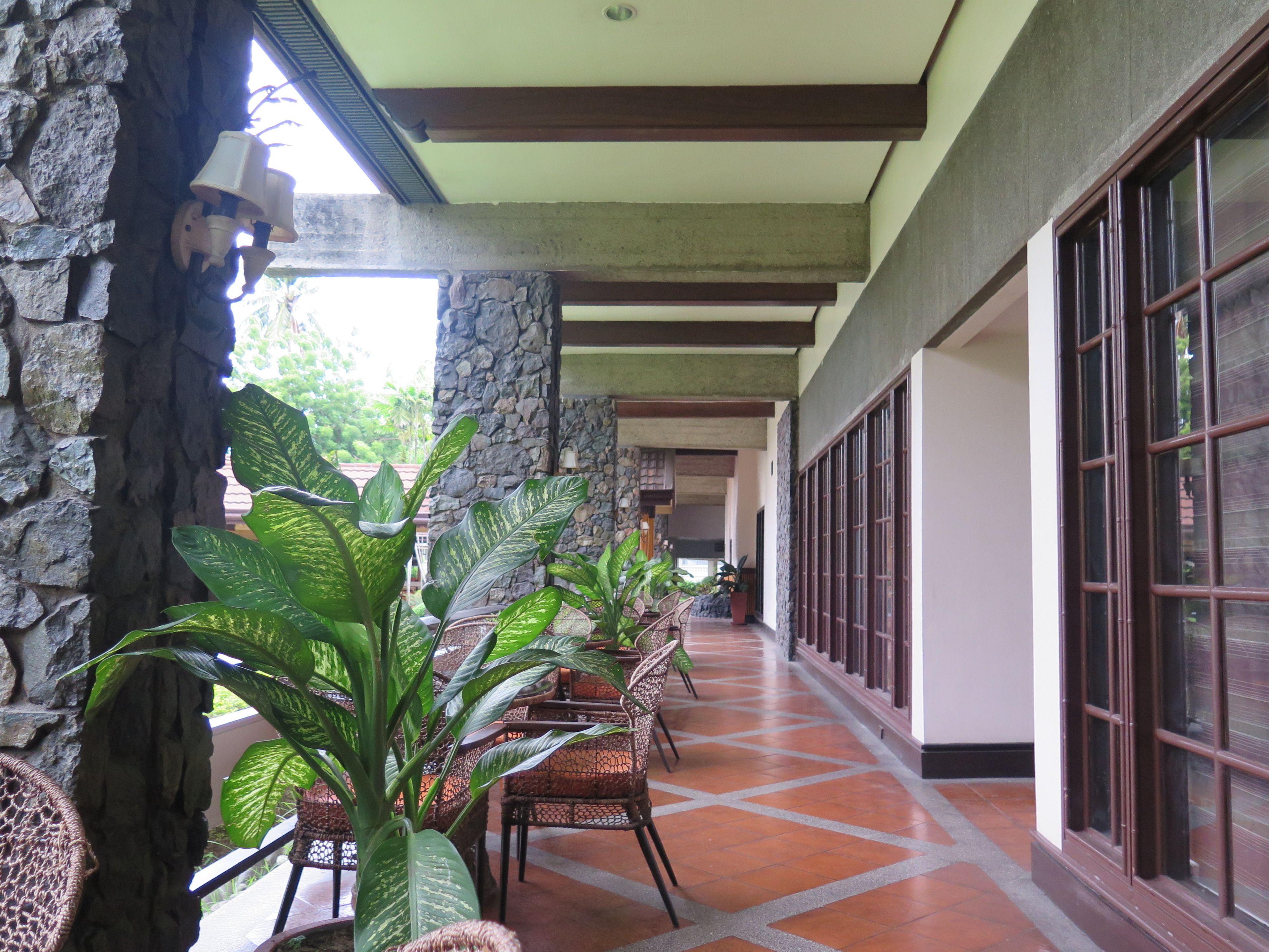 テラス / パティオ