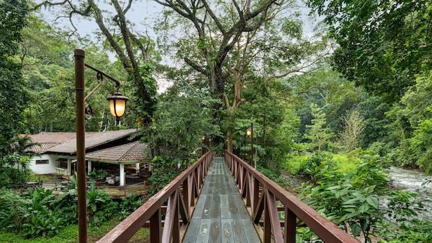 A wooden bridge with railings, surrounded by lush greenery and a river. - Villa Lapas Jungle Village (Tárcoles)
