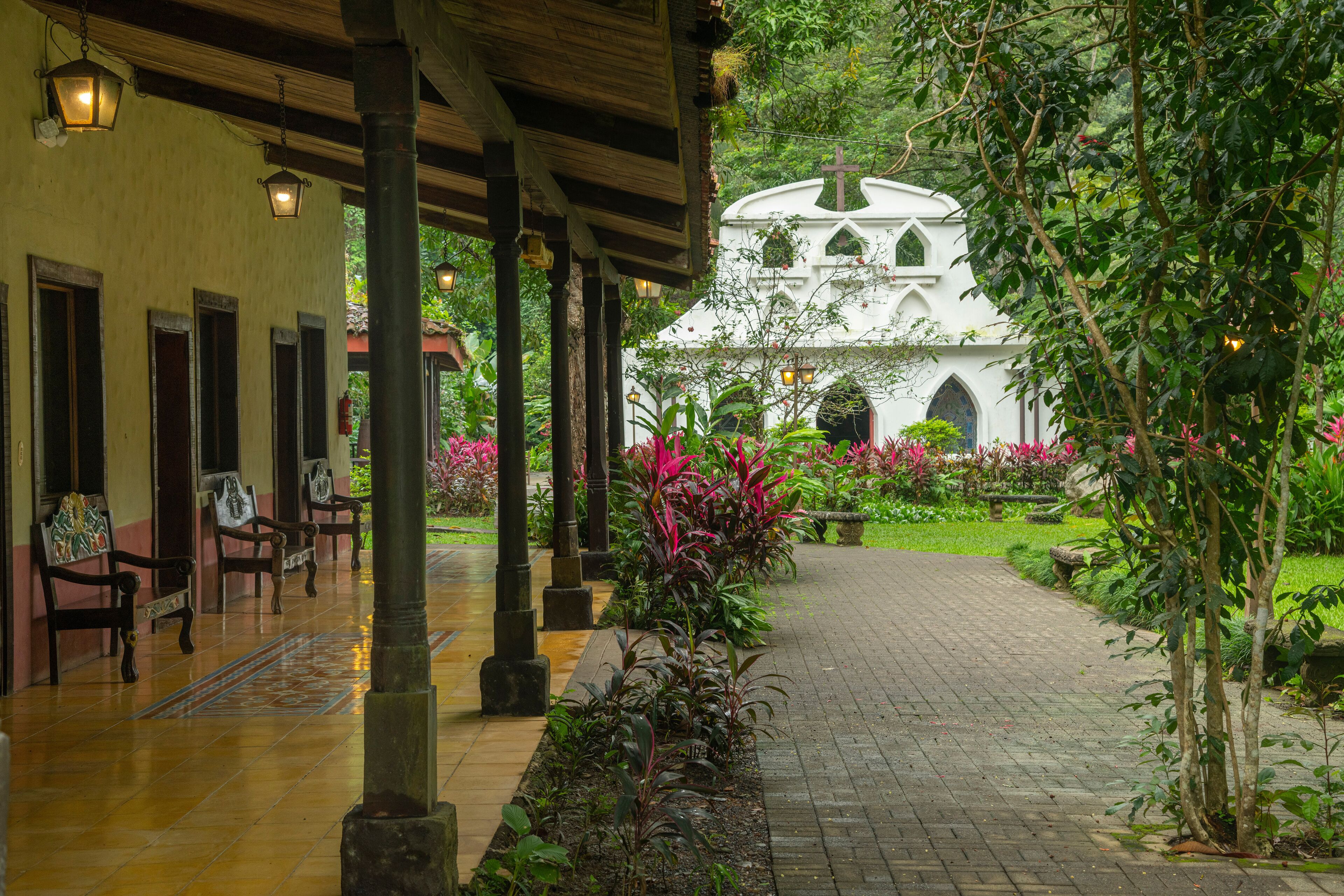 Premium Room, 1 King Bed | View from room