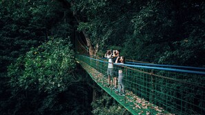 A suspension bridge in a dense forest.