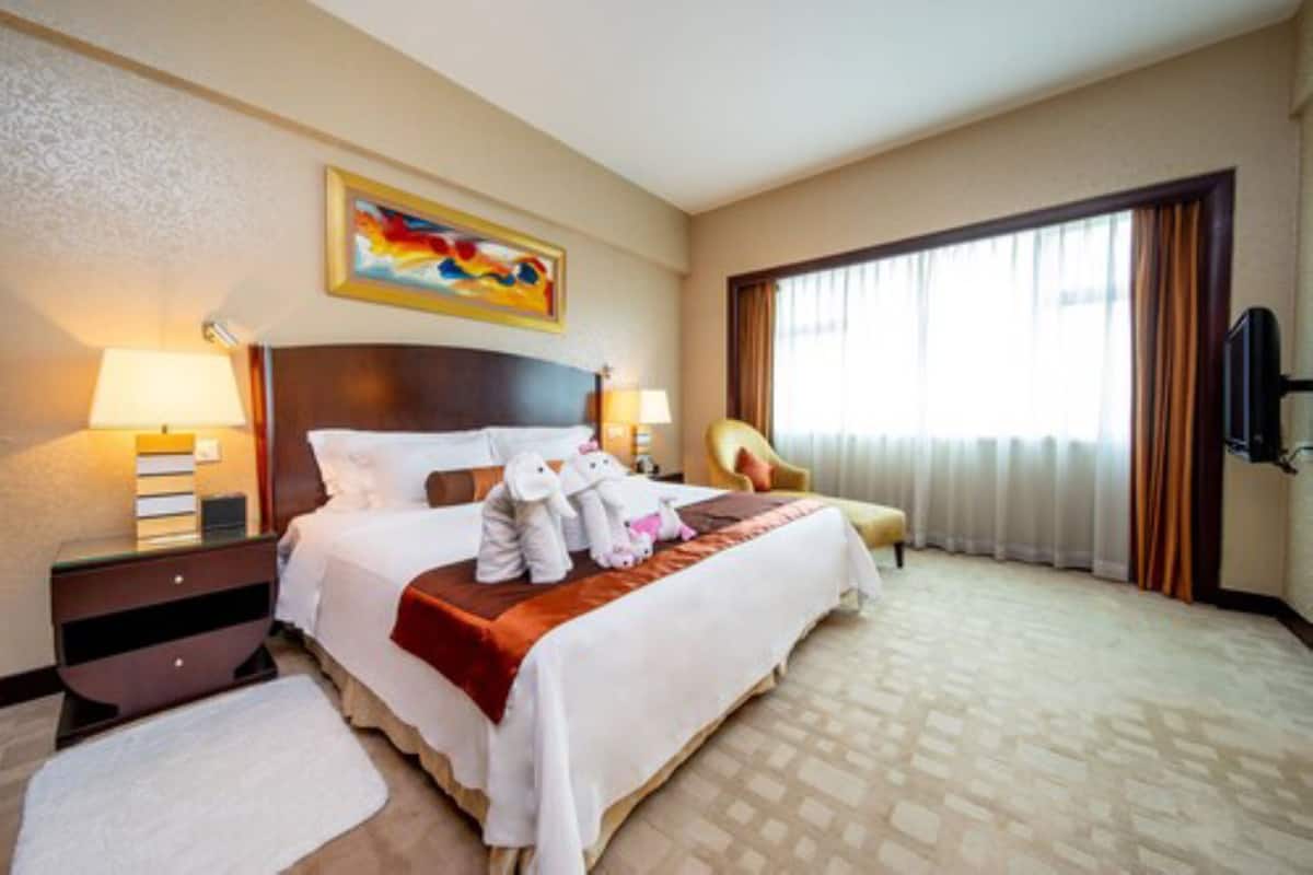 Suite Business | 1 camera, copriletto in piuma, minibar, cassaforte in camera