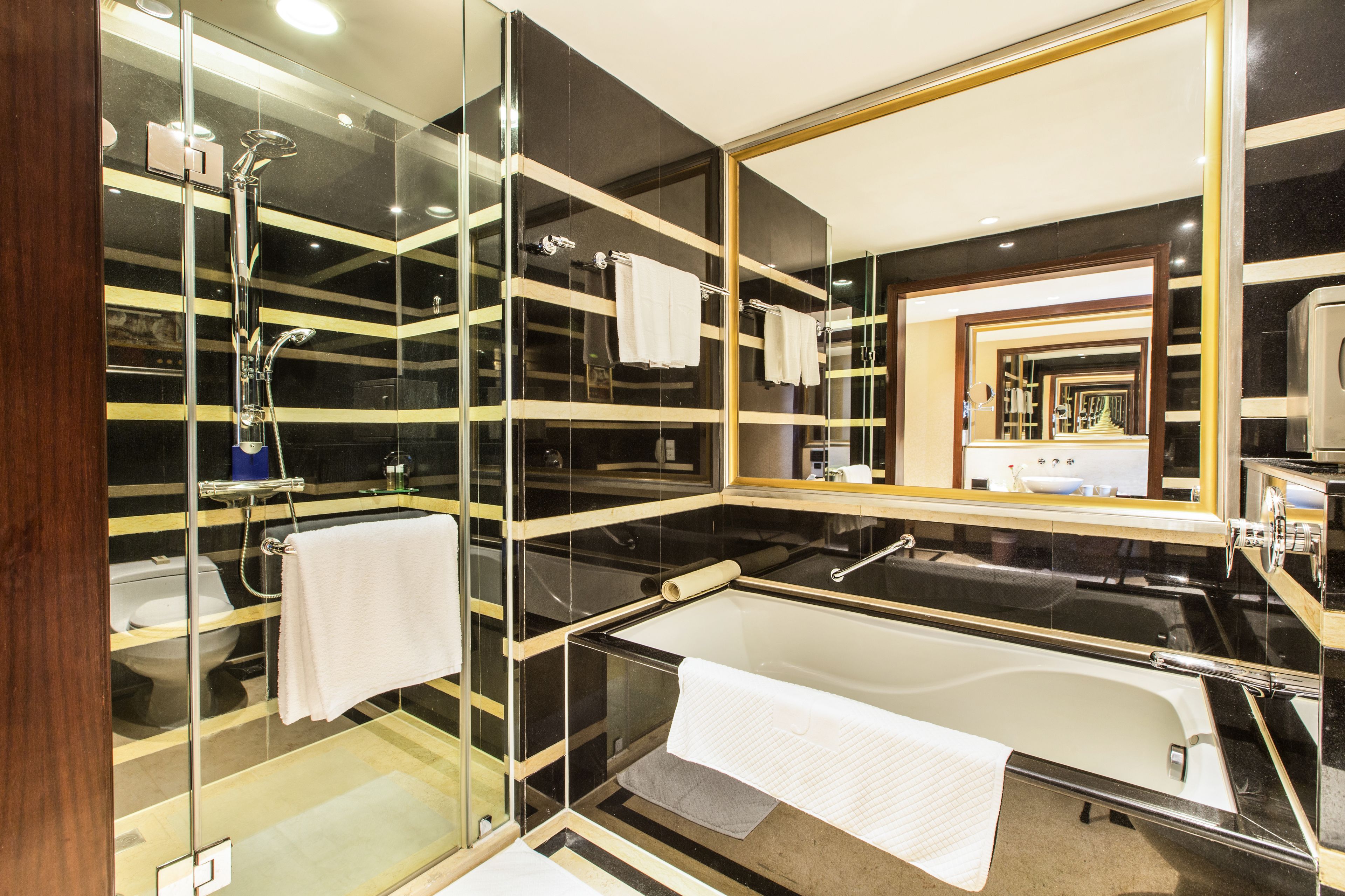 deluxe suite | bathroom | shower, hydromassage showerhead, free toiletries, hair dryer