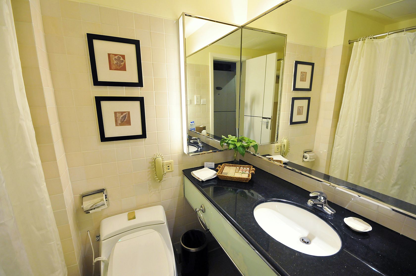 A bathroom with a toilet, sink, and mirror. There are framed pictures on the wall and a plant on the counter.