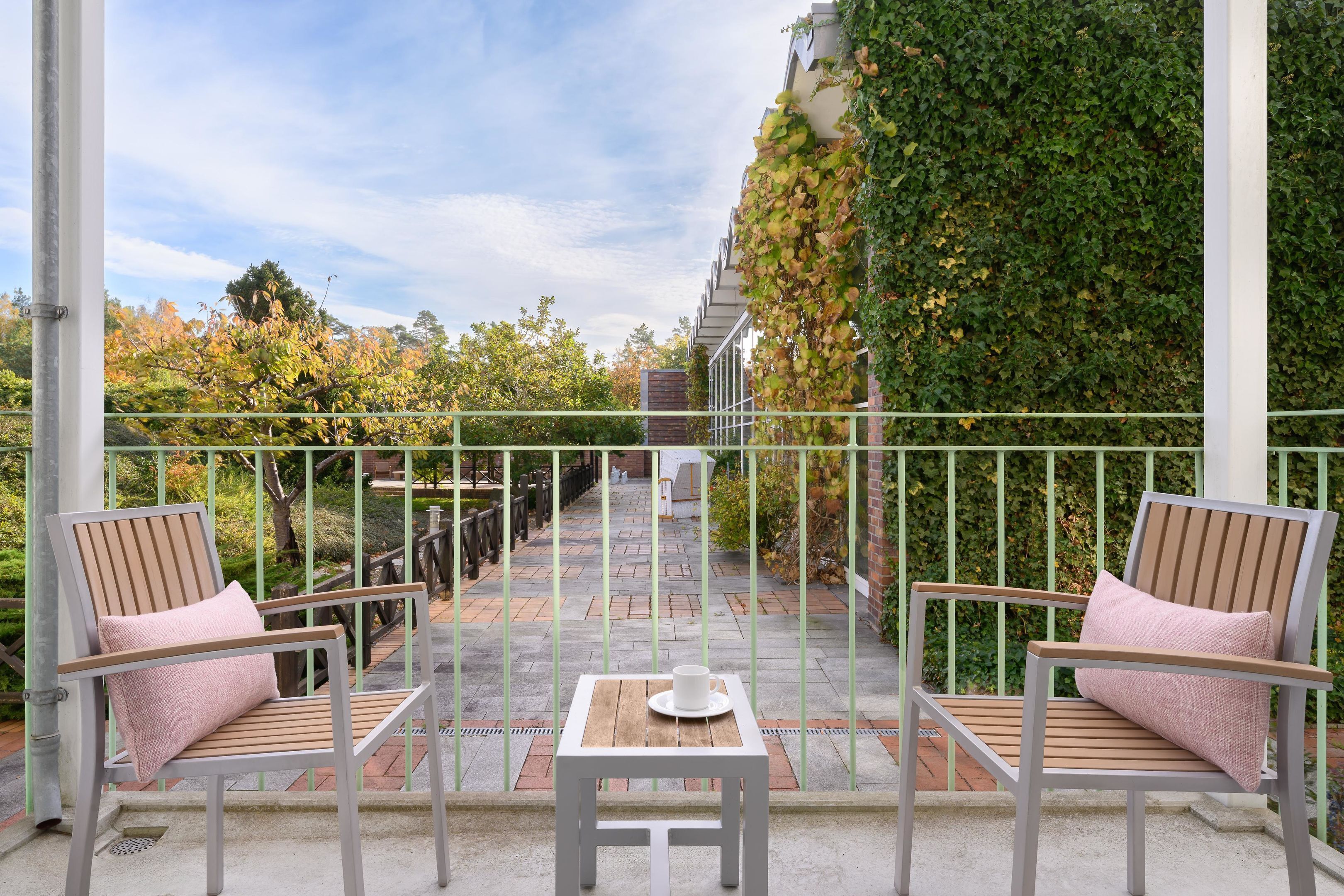 Single Room | Terrace/patio