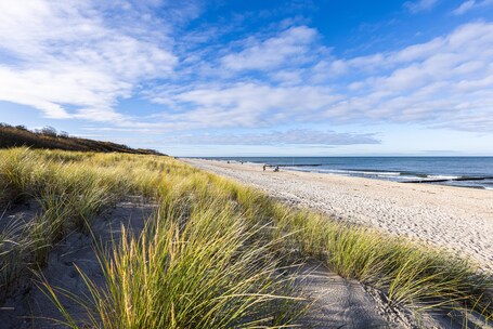 On the beach, white sand