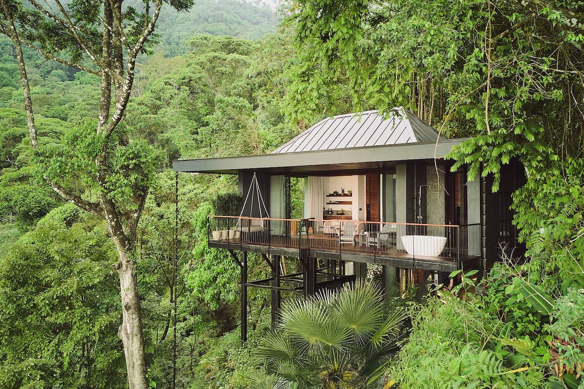 Tree House Luxe, 1 trĂšs grand lit