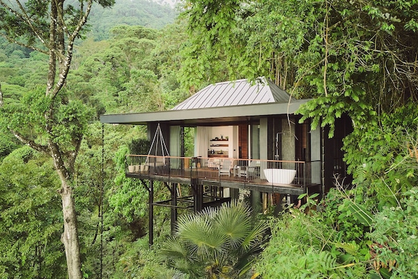 Luxury Tree House, 1 King Bed | Premium bedding, down comforters, pillowtop beds, minibar