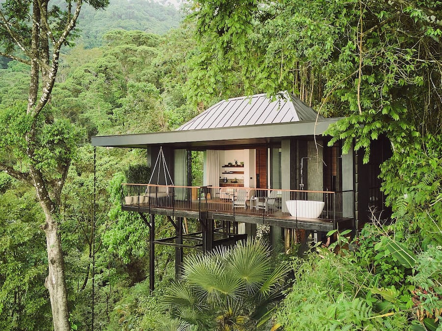 Luxury Tree House, 1 King Bed | Premium bedding, down comforters, pillowtop beds, minibar