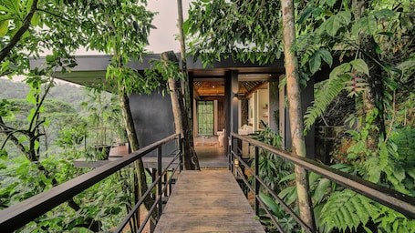 Luxury Tree House, 1 King Bed, Balcony, Ocean View | Premium bedding, down comforters, pillowtop beds, minibar