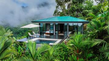 Luxury Villa, 1 King Bed, Private Pool, Ocean View | Private pool