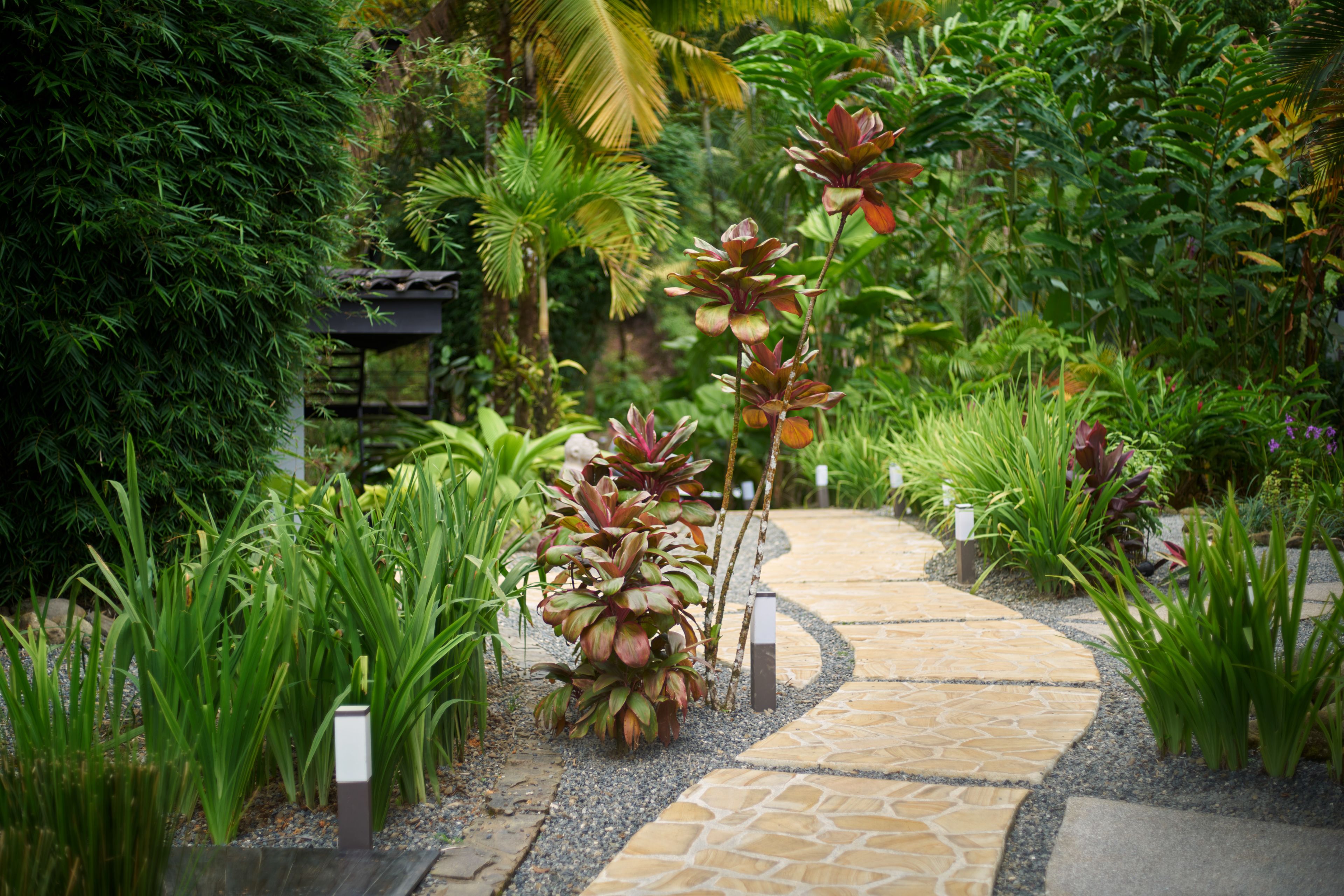 A stone pathway in a lush garden with various plants and a small structure in the background.