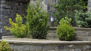 A stone wall with a small garden area featuring various shrubs and plants.