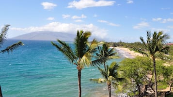 A beach with clear turquoise water, palm trees, and a distant mountain.