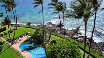 A resort with a swimming pool, palm trees, and a view of the ocean.