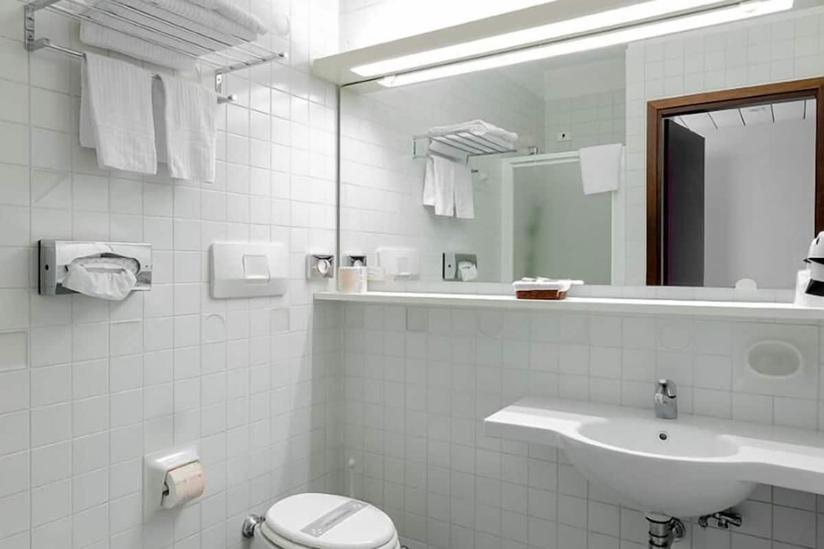 shower, free toiletries, hair dryer, bidet