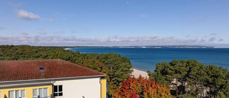 A hotel with a view of the sea and autumn foliage.