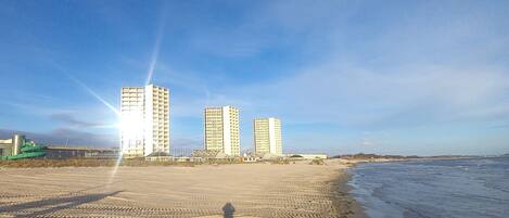 ビーチ、ビーチバー