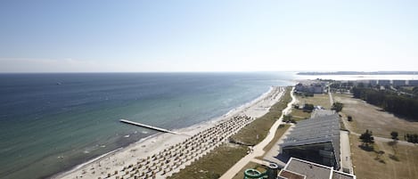 An aerial view of a beach with rows of sun loungers, a swimming pool, and buildings in the background.
