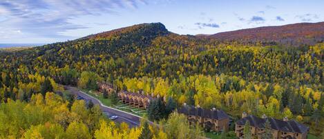 Zona residencial con casas rodeadas de bosque denso, una carretera despejada y un paisaje montañoso al fondo.