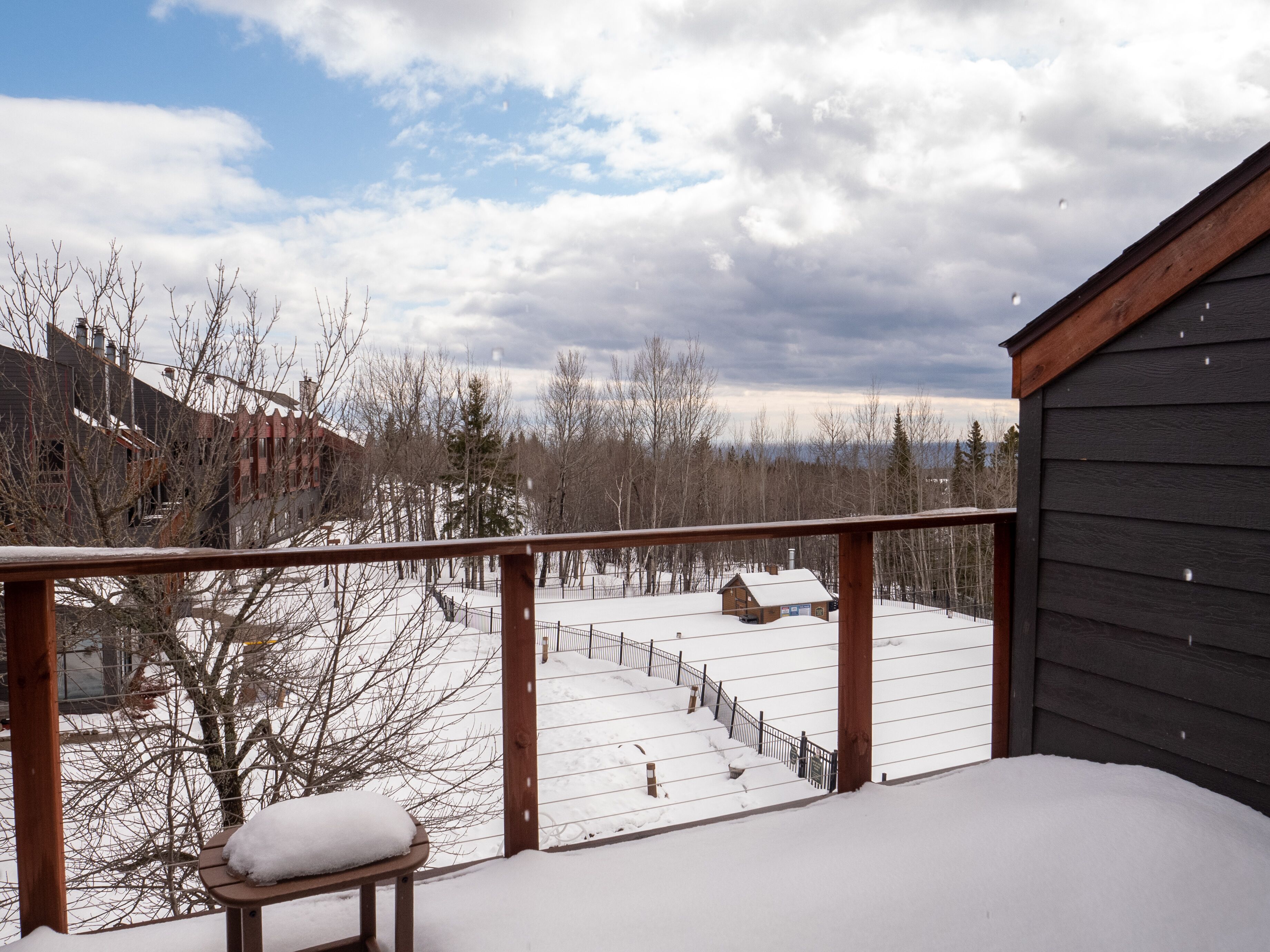 Un muelle cubierto de nieve con un banco, con vistas a un área cercada con edificios y árboles.
