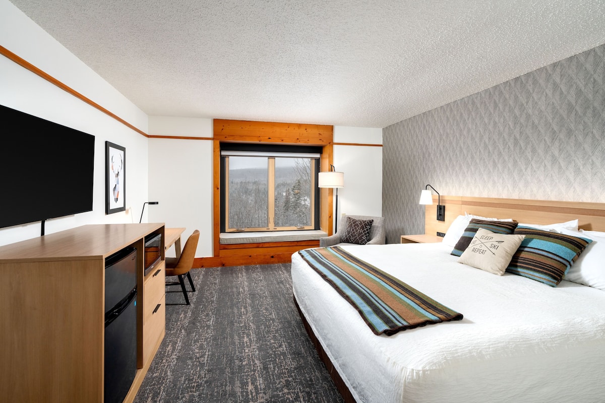 Une chambre d’hôtel équipée d’un lit, d’un bureau, d’une télévision et d’une fenêtre donnant sur la verdure.