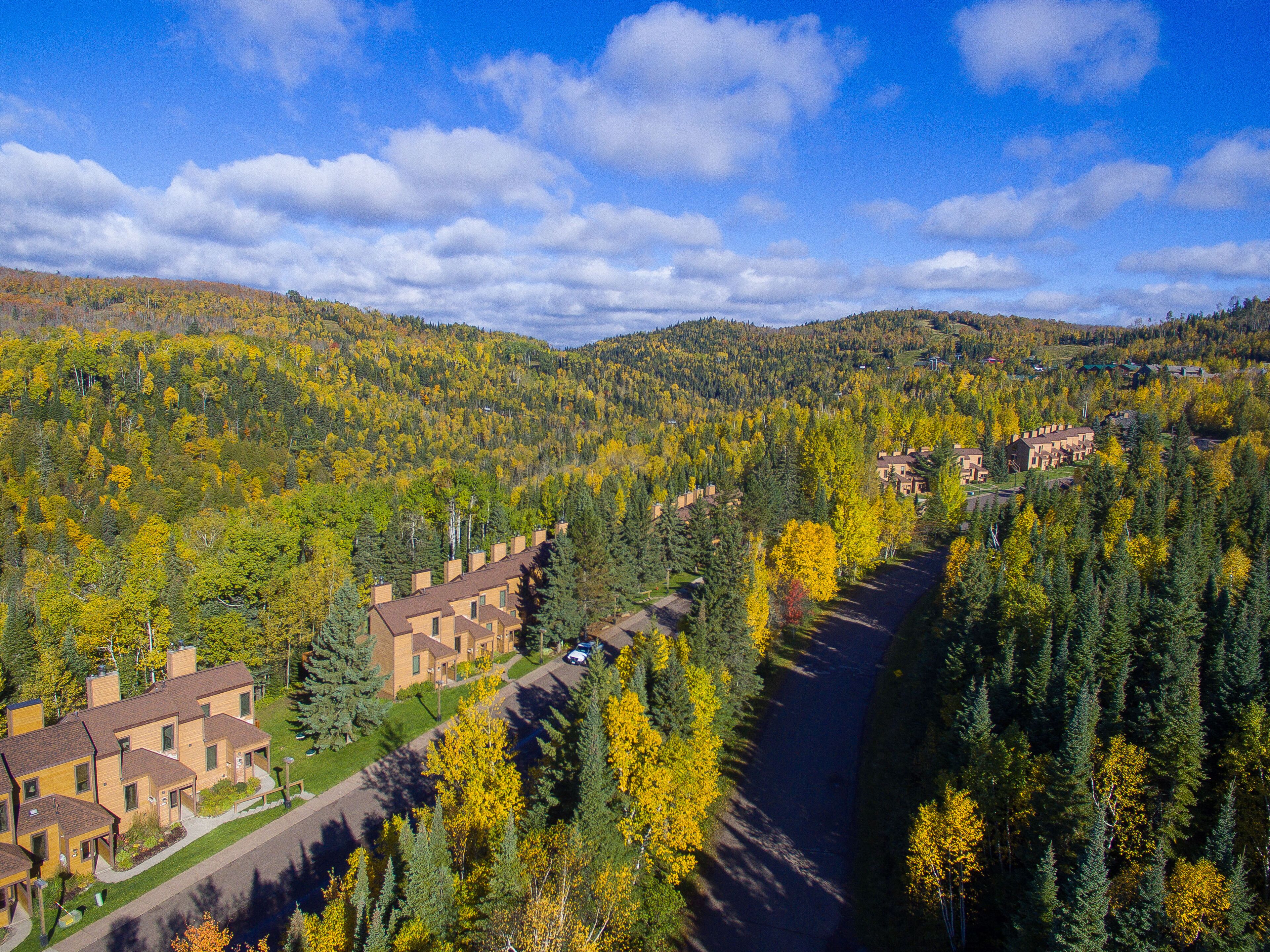 Un quartier résidentiel bordé d’une rangée de maisons le long d’une rue, entouré d’une forêt dense et de collines.