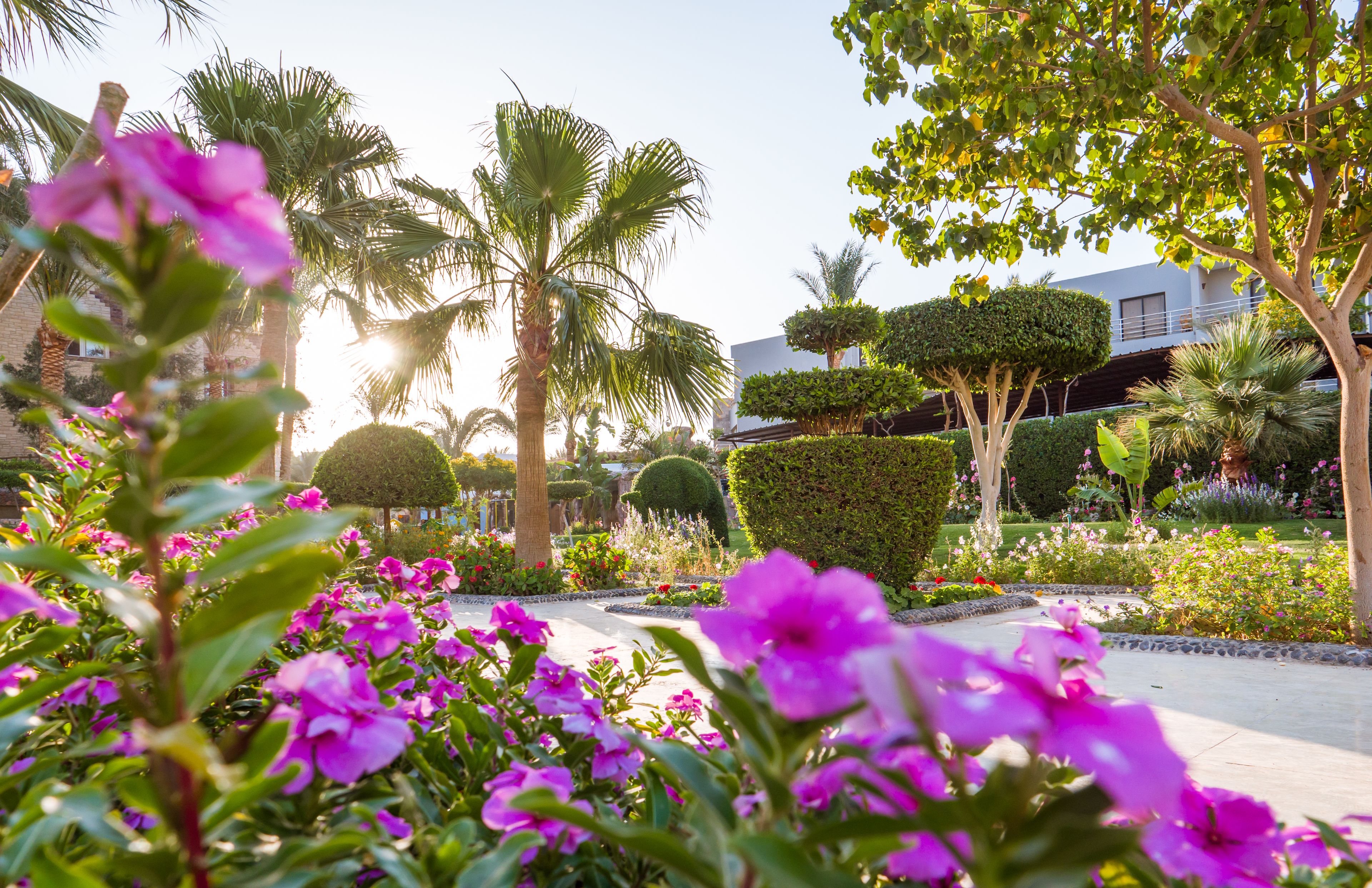 Foto - Seagull Beach Resort - Families and Couples Only