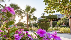 A garden with various plants and flowers, palm trees, and a well-maintained hedge. - Seagull Beach Resort Families & Couples Only - All Inclusive (Hurghada)