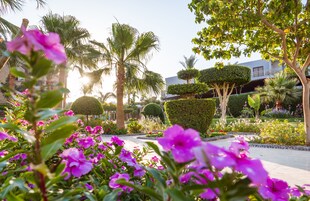 Jardín