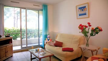 Télévision de 40 cm avec chaßnes numériques