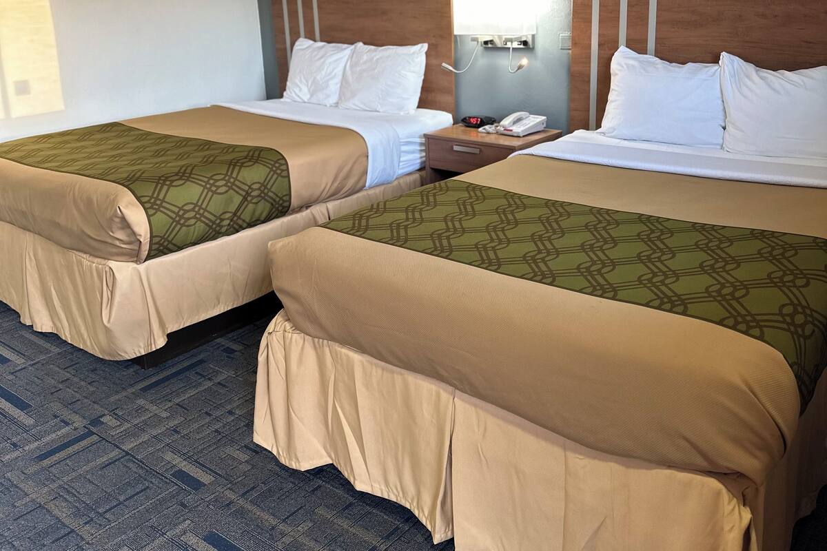 Two single beds with headboards, a bedside table with a lamp, and a telephone.