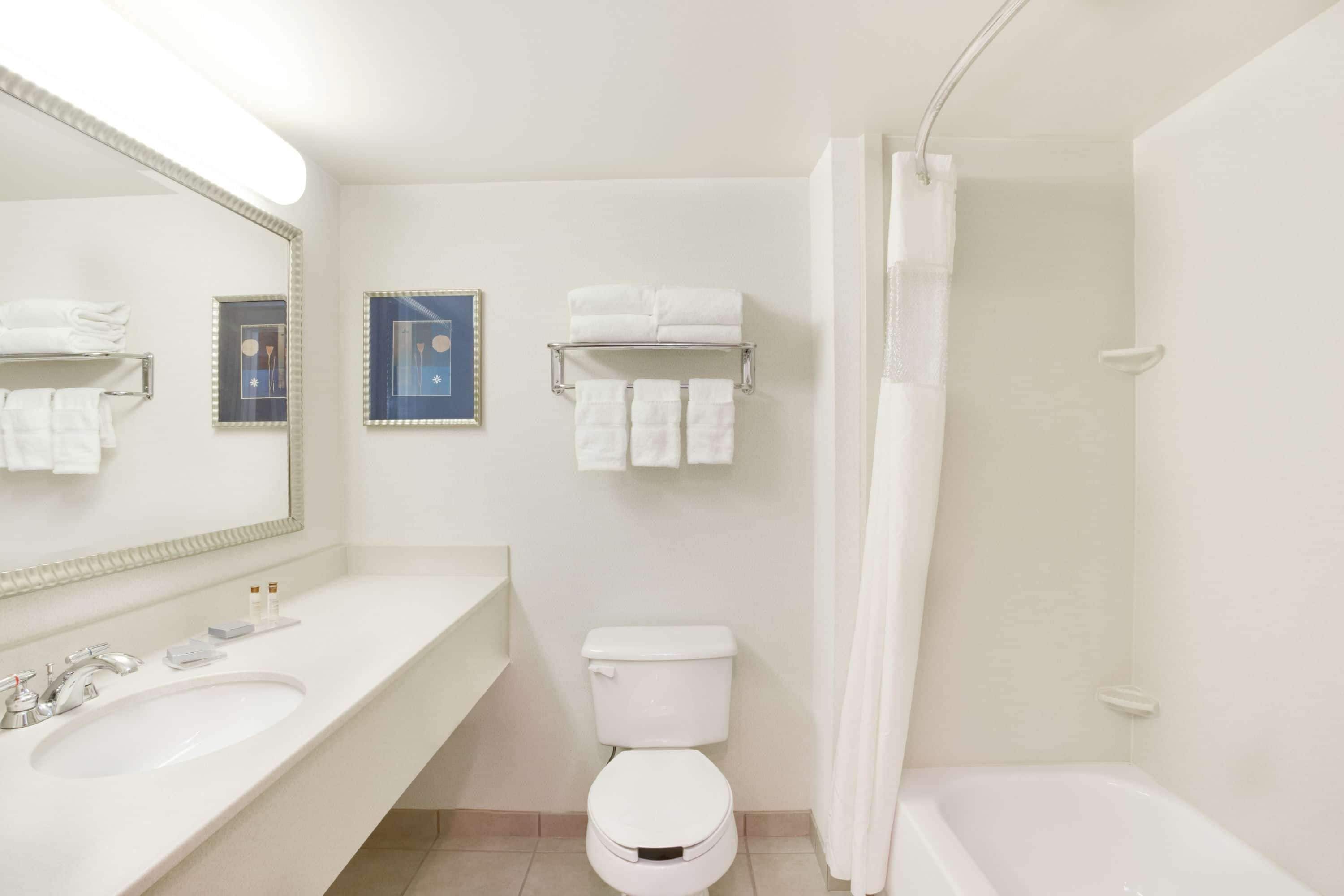 A bathroom with a white sink, mirror, toilet, and shower curtain.