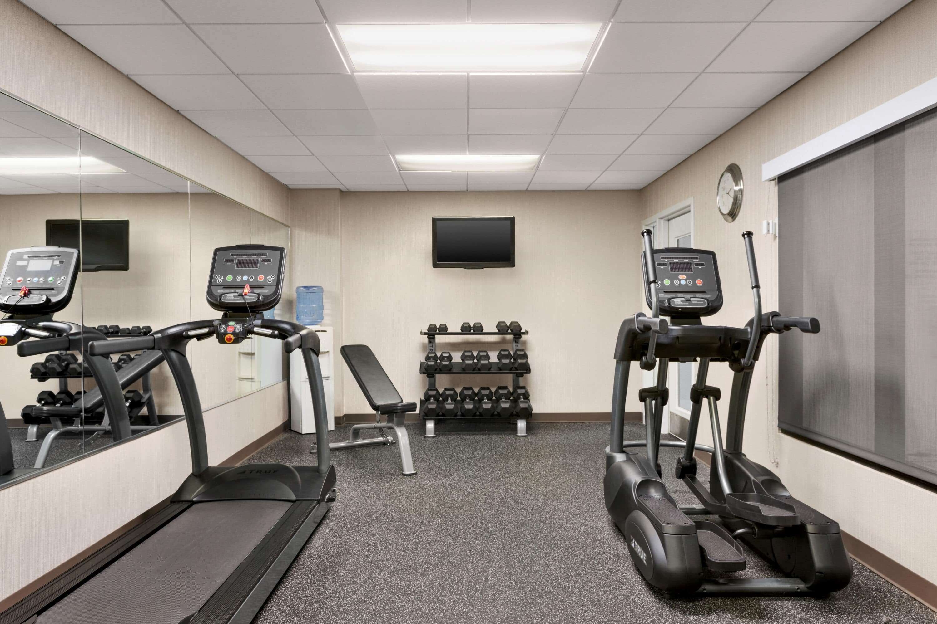 A gym with treadmills, a bench, and a rack of dumbbells.