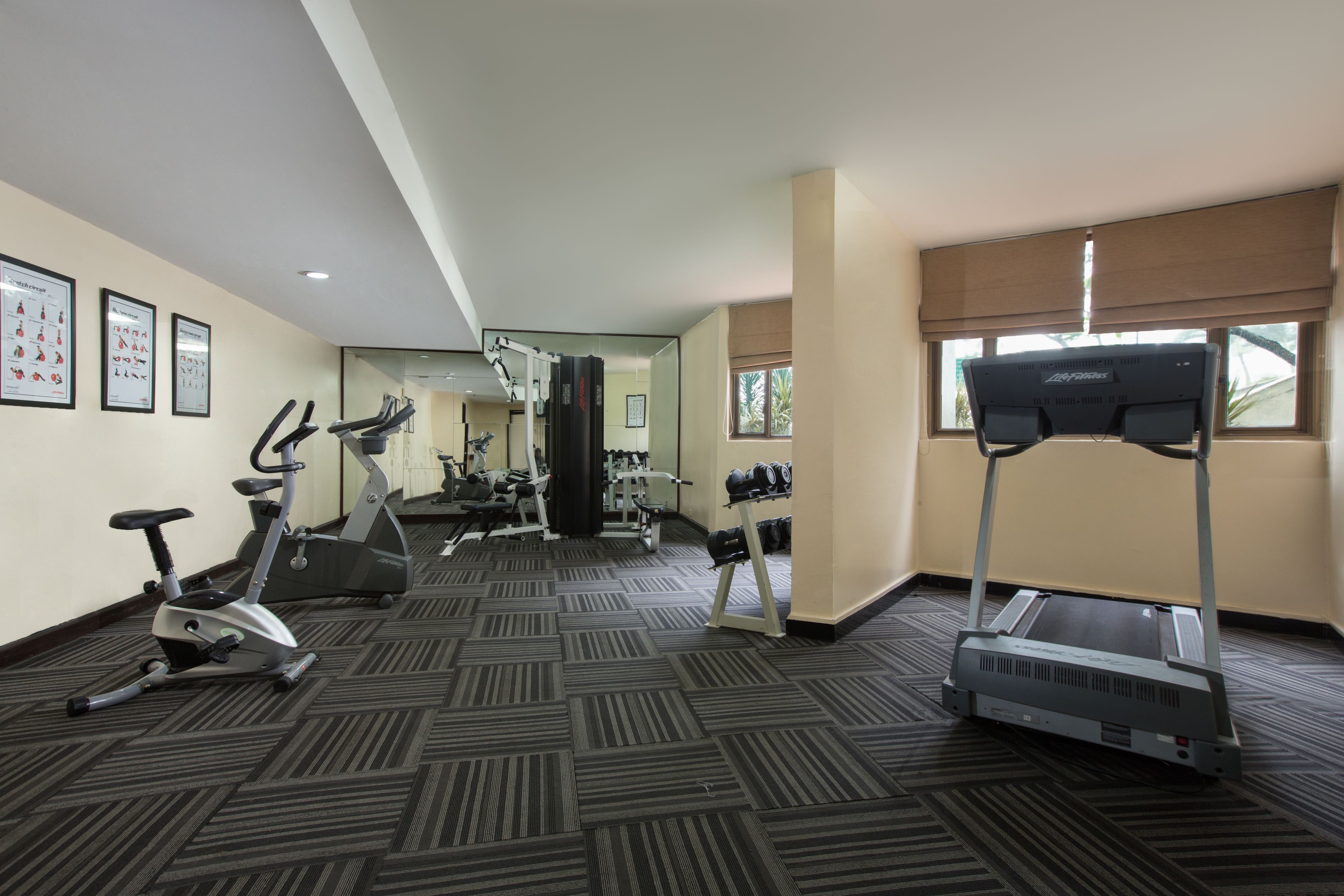 A gym with treadmills, stationary bikes, and weight machines.