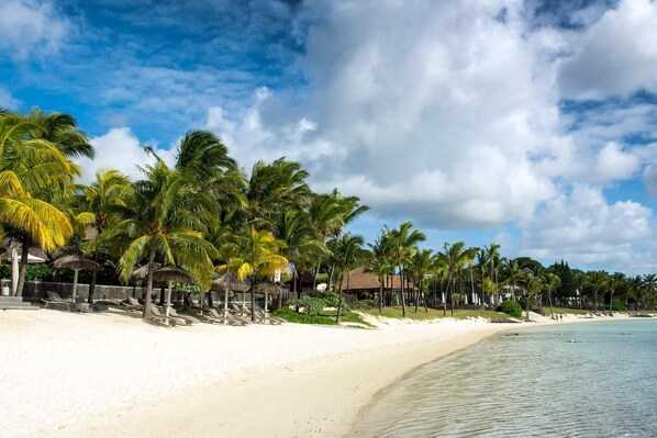 A beach with palm trees, a sandy shore, and a clear sky.