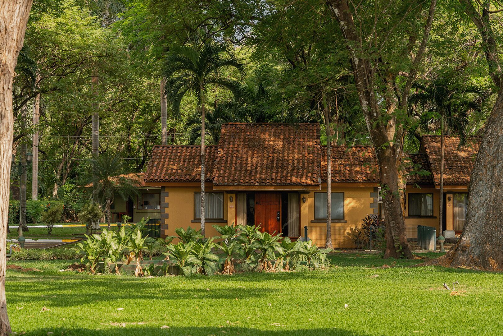 Garden View | Utsikt fra rommet