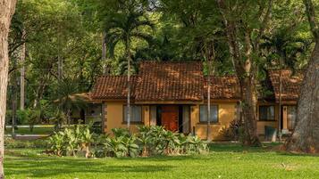 Garden View | View from room