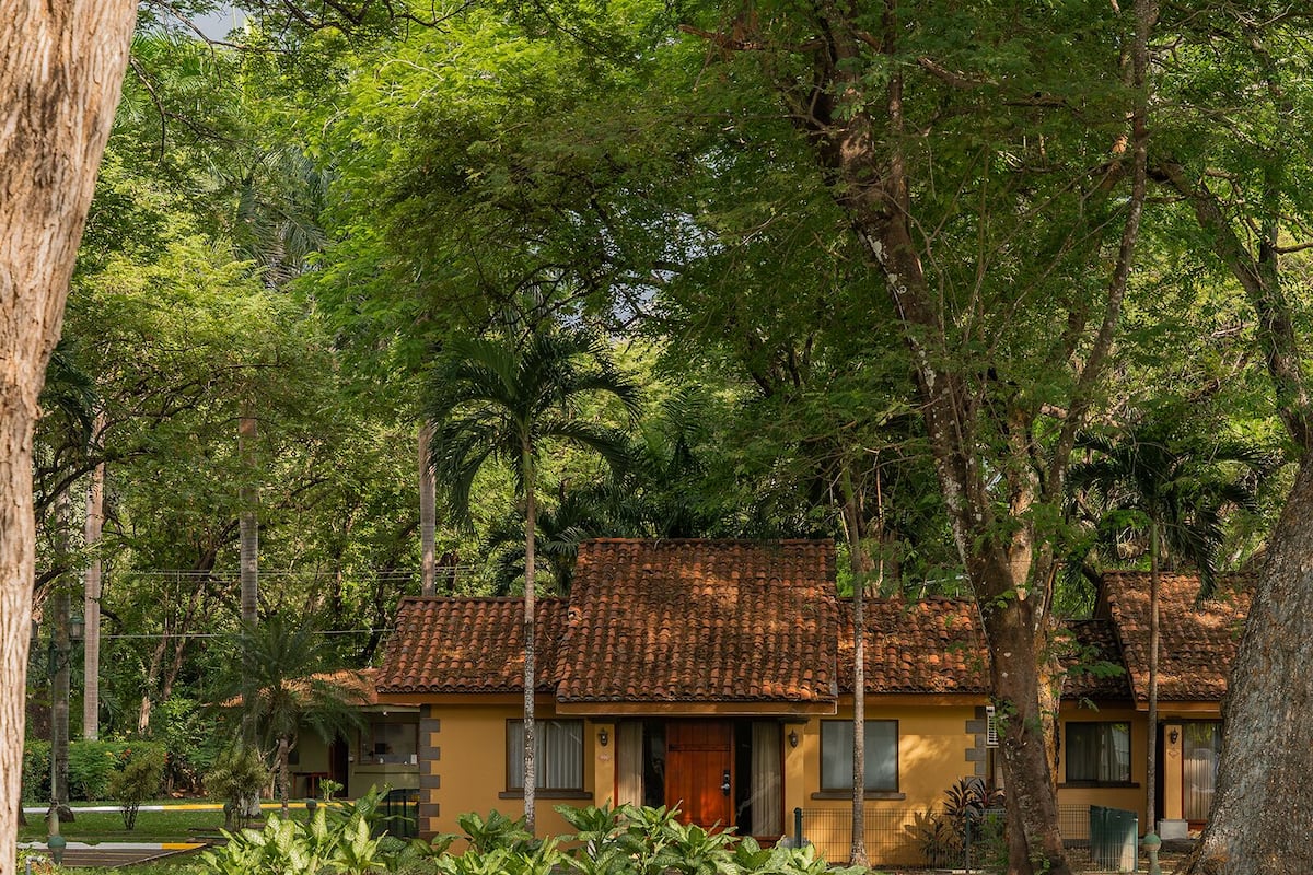 Garden View | 1 bedroom, premium bedding, down duvets, in-room safe