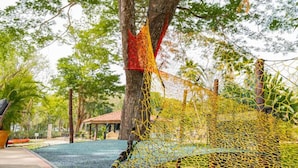 A tree with a yellow net swing attached to it.