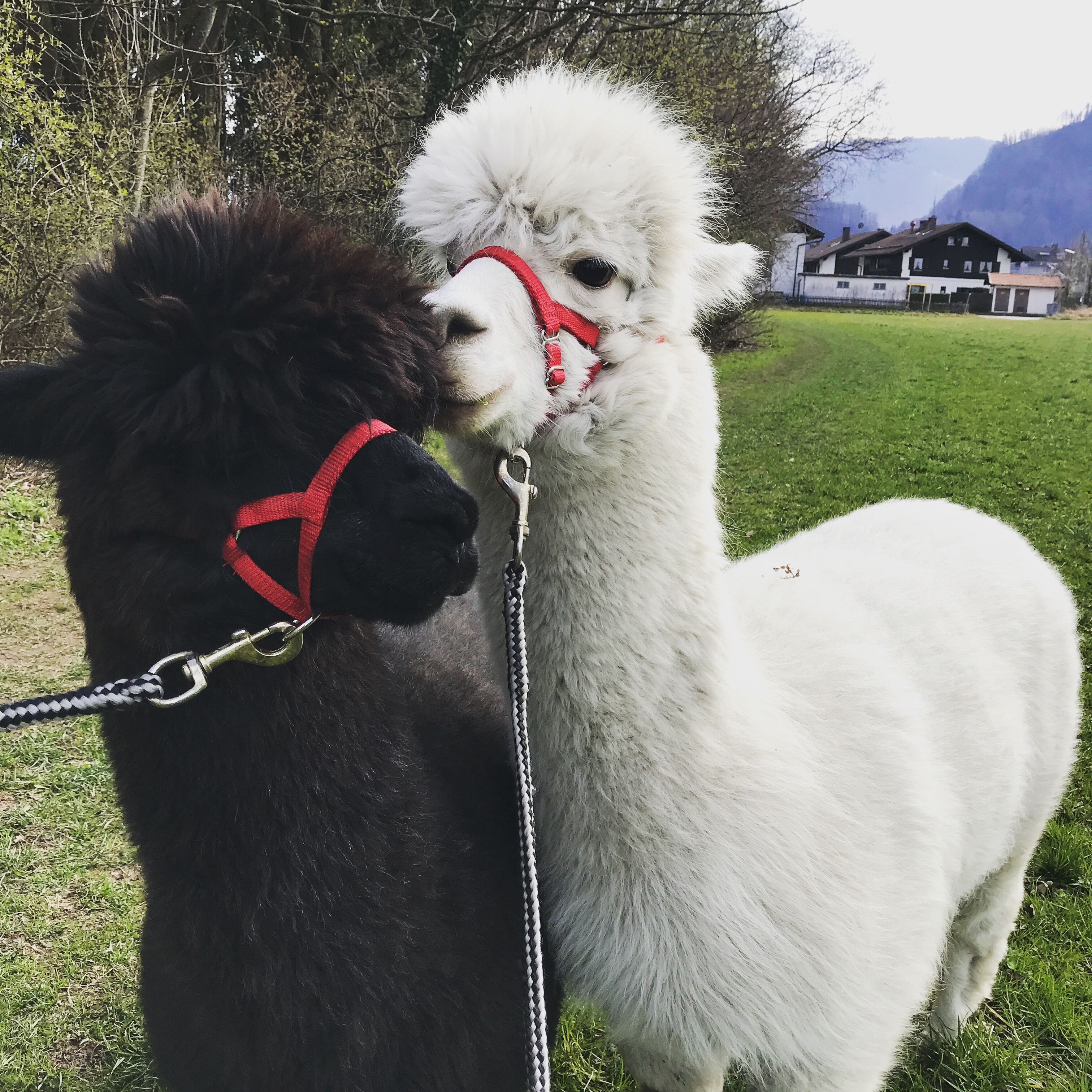 children’s activities