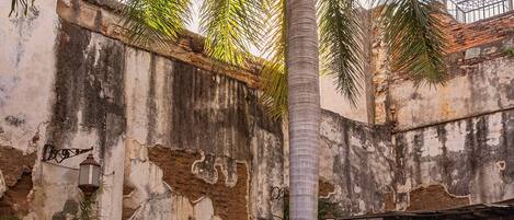 Outdoor pool, open 9:00 AM to 9:00 PM, sun loungers