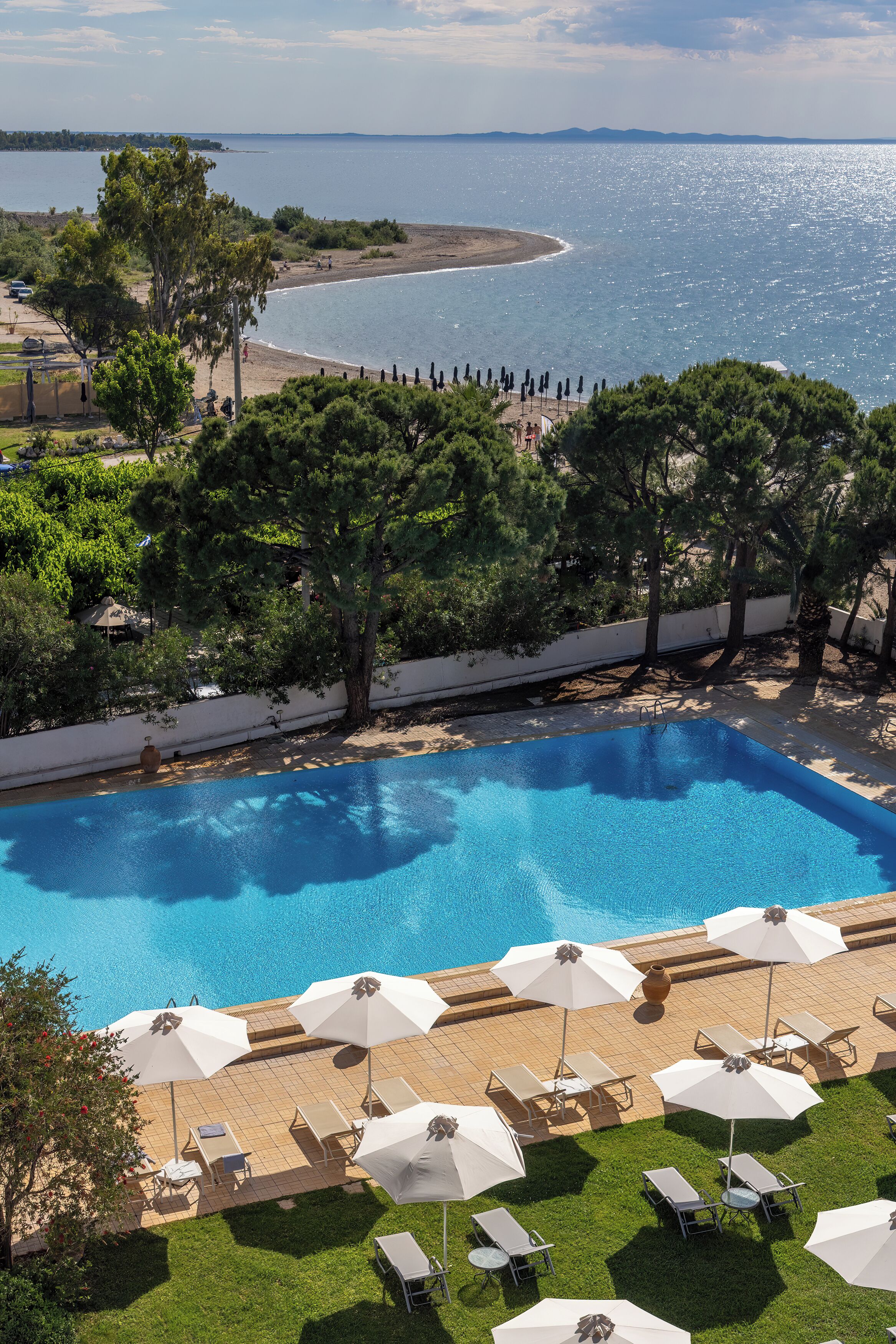 A swimming pool with sun loungers and umbrellas, surrounded by trees and a view of the sea.