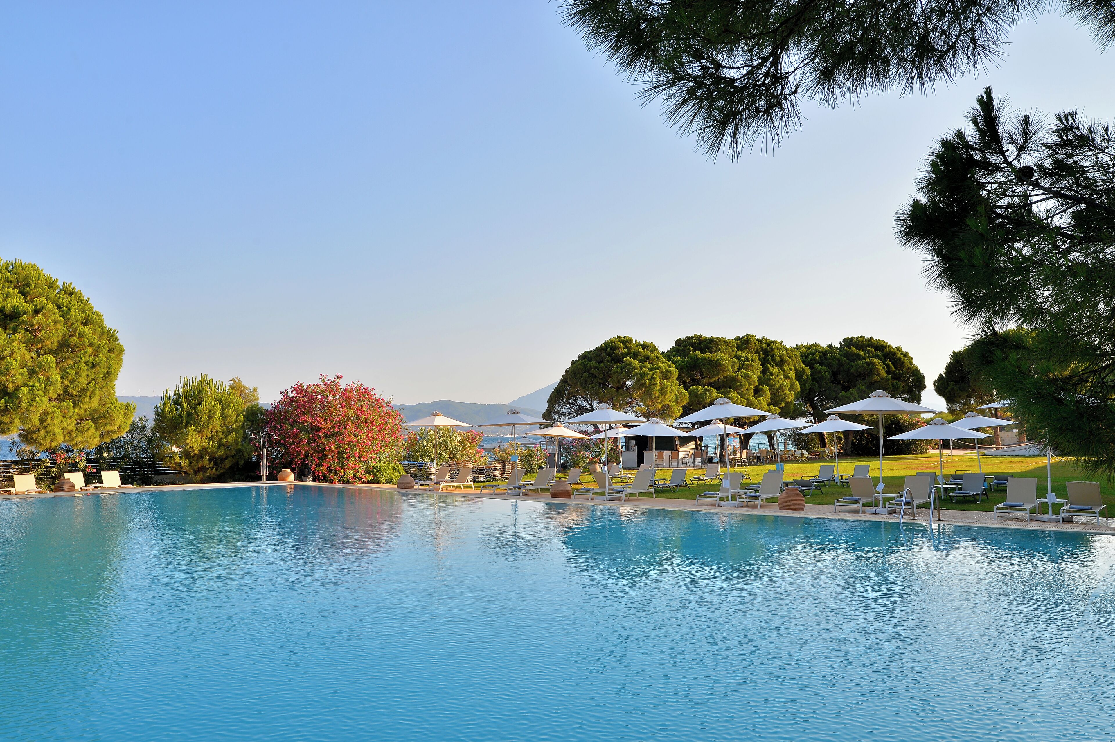 seasonal outdoor pool, open 11:00 am to 7:00 pm, pool umbrellas