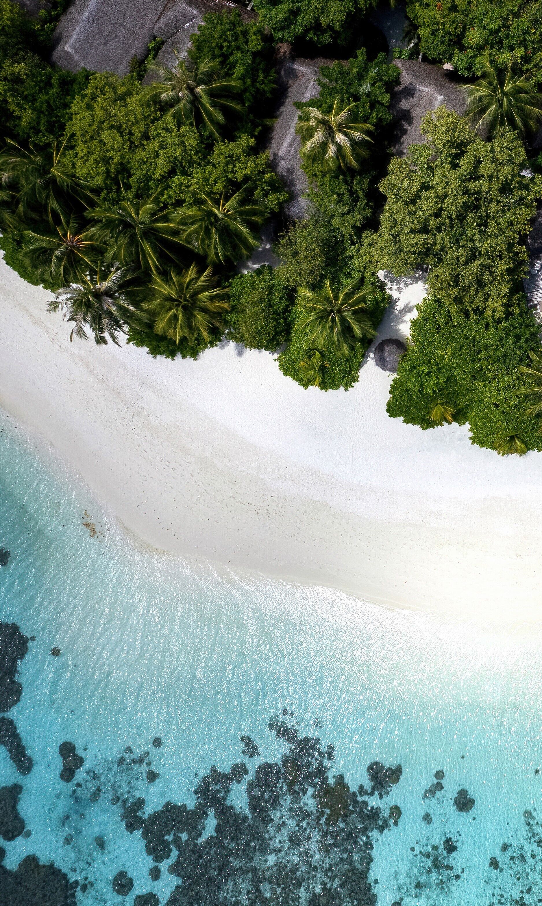 Vista aérea de una playa de arena blanca, agua turquesa cristalina y densa vegetación verde.