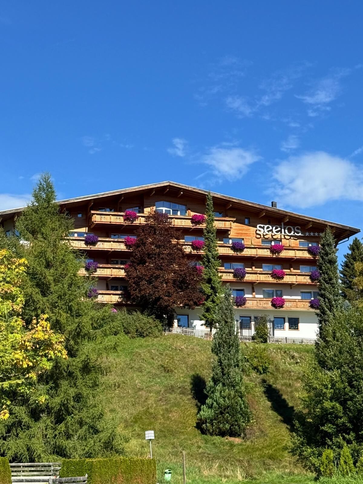 Un hotel de varios pisos con balcones, rodeado de vegetación y árboles.