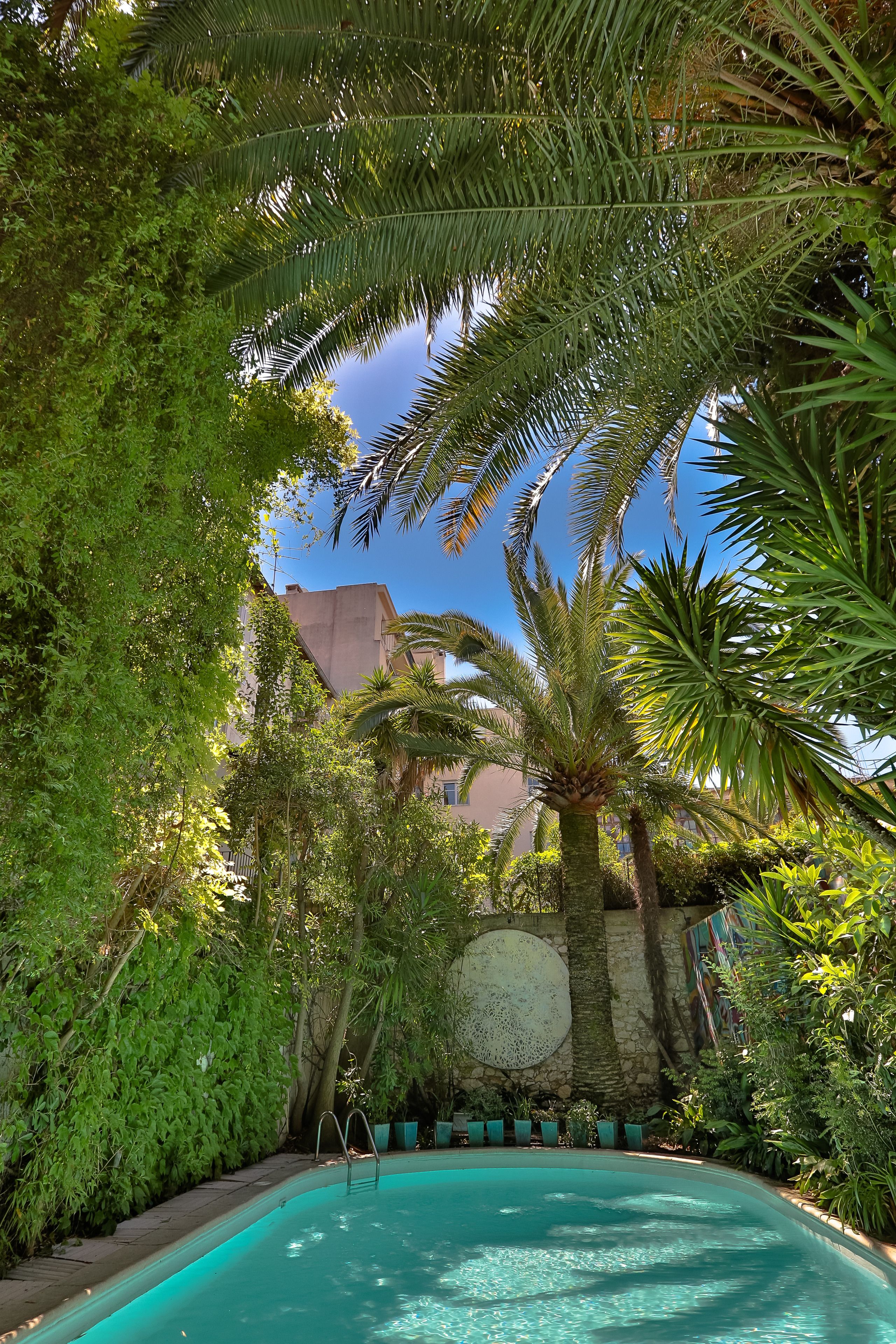 Foto - Le Windsor, Jungle Art Hotel