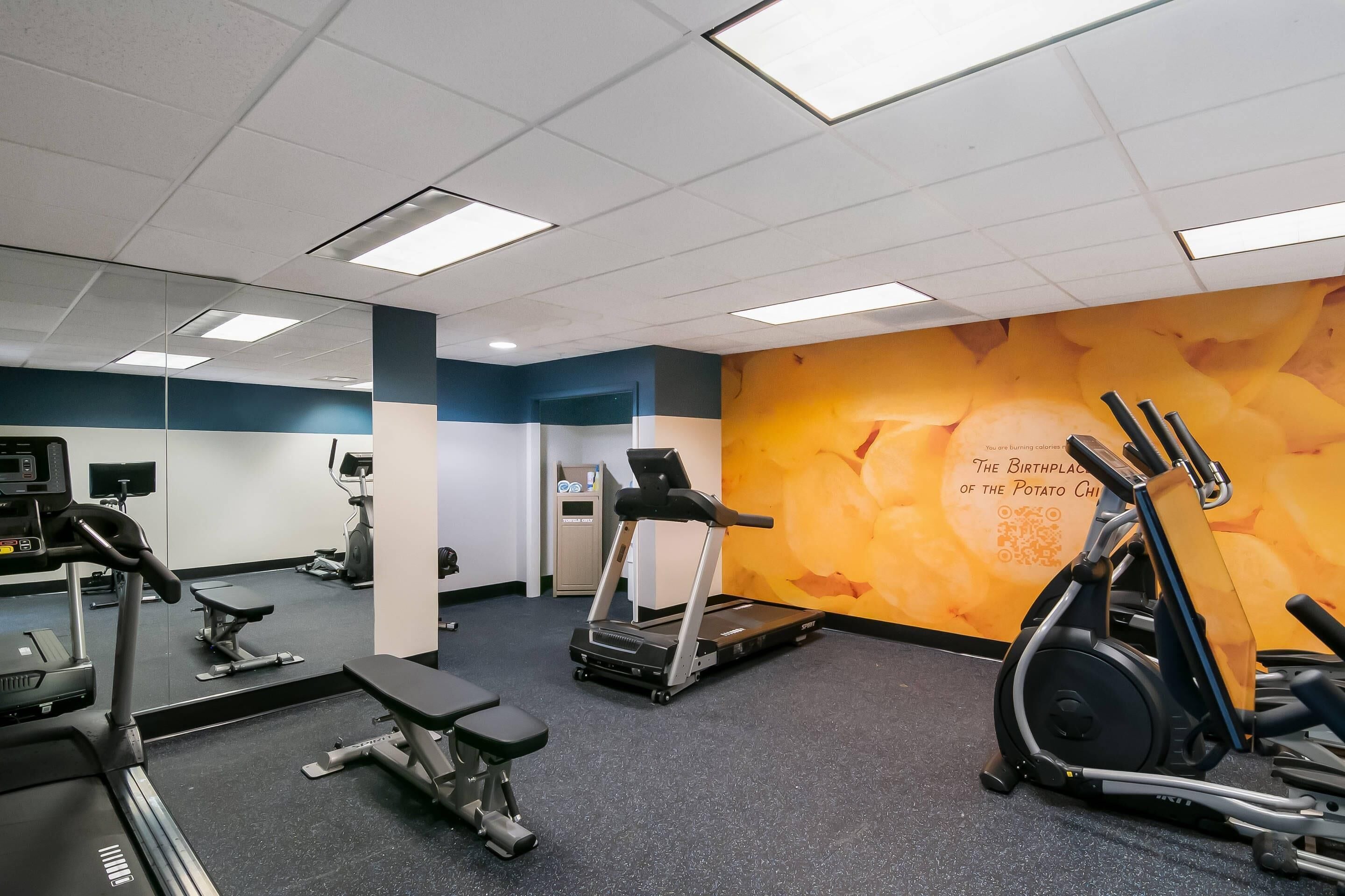 Ein Fitnessraum mit Laufbändern, Crosstrainern und einer Bank.