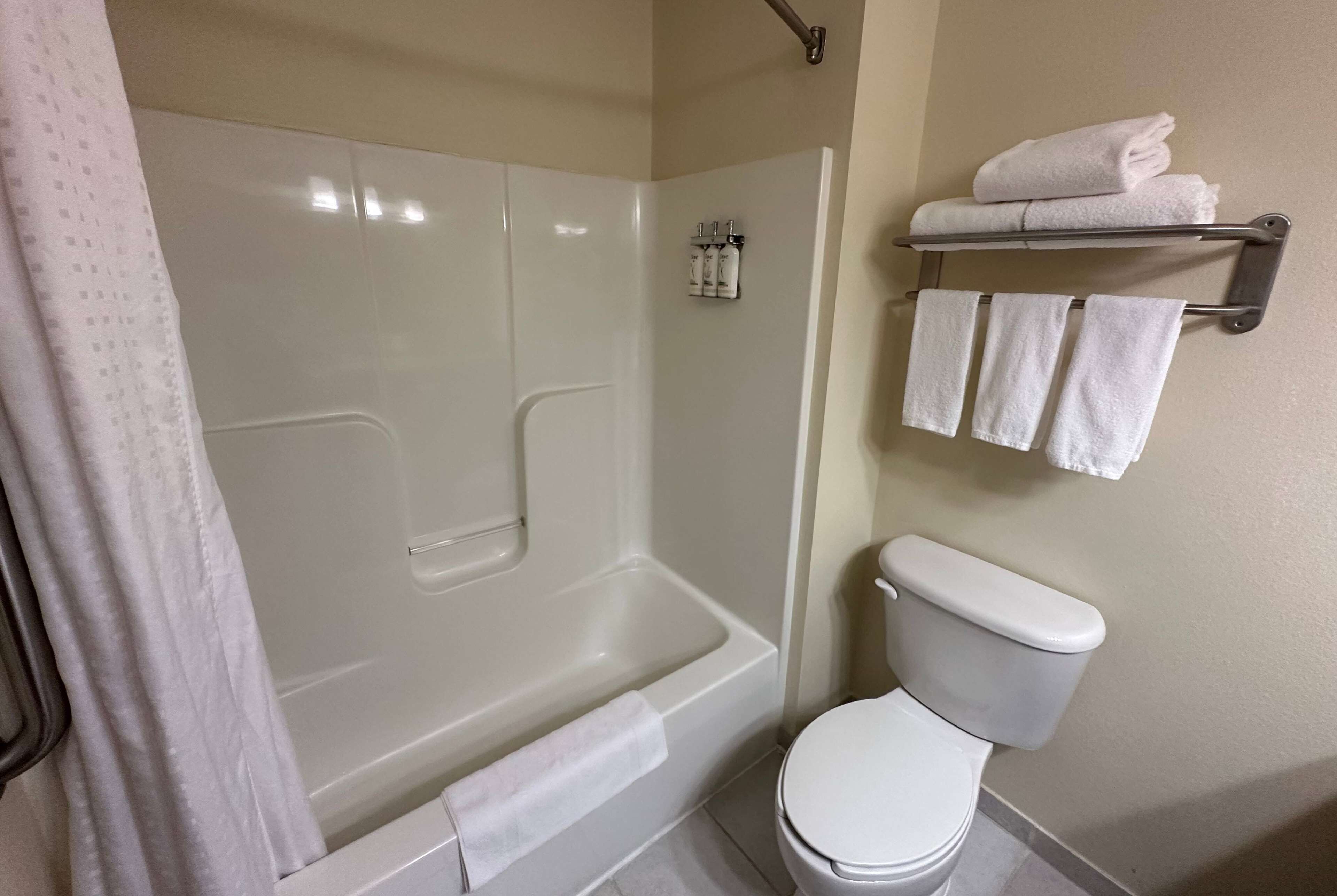 combined shower/bathtub, hair dryer, towels