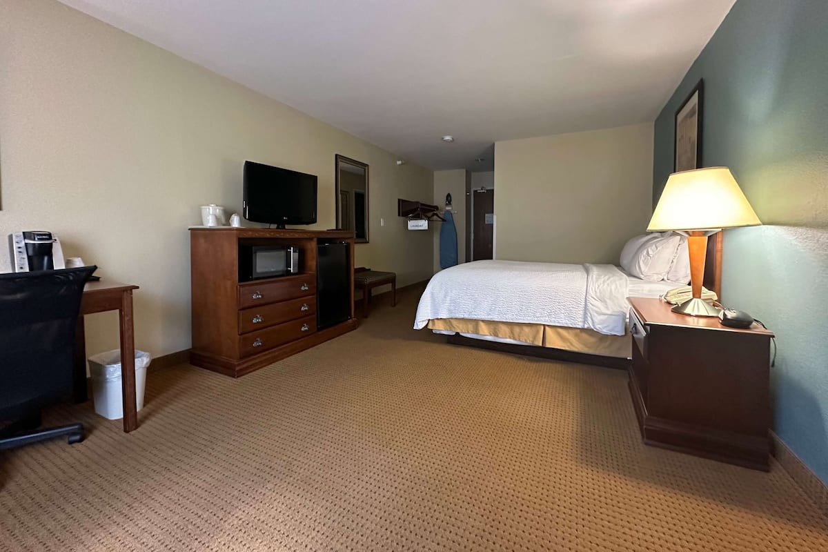 A hotel room with a bed, a desk with a lamp, a TV, a dresser, and a trash can.