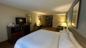 A hotel room with a bed, a television, a desk, and a chair.